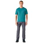 Походные брюки M's Terravia Trail, обычные серые - 34 Patagonia - фото 4