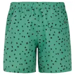 Шорты для плавания Protest Juan, зеленый - фото 2