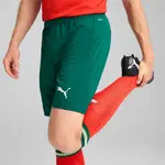 Шорты Puma FPF Portugal Replica, зеленый - фото 7
