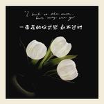 Атмосферные огни The Star God Project, оранжевый - фото 5