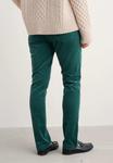 Брюки Seasalt Cornwall LAMLEDRA , Green - Verte/Green - фото 3