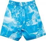 Шорты Nahmias x Webster Tye Dye Silk Shorts 'Blue', синий - фото 3