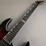 ESP E-Ⅱ HORIZON FR-II 2025 - фото 3