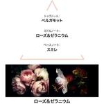 LE COUVENT Botanical Cologne Aqua Paradisi EDT 50 мл - фото 3