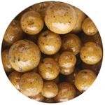 Насадки Scopex CAPERLAN - фото 2