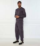 Брюки Regular fit Ea7, черный - фото 2