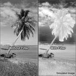 Фильтр Tiffen 58mm #87 Infrared Filter 5887 - фото 2