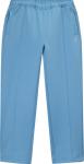 Брюки Stussy Poly Track Pant 'Azure', синий - фото