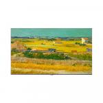 Телевизор Skyworth Q7D, 86", 4K Ultra HD, Mini LED, 240 Гц, черный - фото