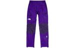 THE NORTH FACE Лыжные брюки унисекс, цвет Purple - фото