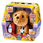 Little Live Pets, интерактивная игрушка, собака Тулусь - фото 2