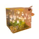 Атмосферные огни The Star God Project - фото 3