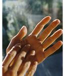 Крем для рук L:A Bruket No. 221 Hand Cream Spruce, 70 ml - фото 3