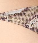 Плавки бикини с принтом Майами Reina Olga, Snake - фото 4