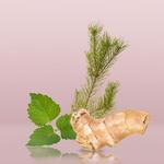 Спрей для тела Euphoria для мужчин 152 мл, Calvin Klein - фото 3