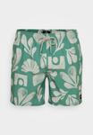 Шорты для плавания Rip Curl FUN TIMES VOLLEY, Green - фото 4