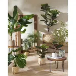 Молотковая сеялка с опорой El Corte Inglés, золото - фото 7