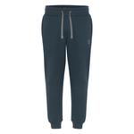 Брюки спортивные Chiemsee, темно-синий - фото