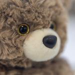 Плюшевая кукла Cute Pets высотой 17 см Handsome - фото 7