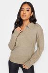 Свитер с воротником Pixiegirl Petite, бежевый - фото