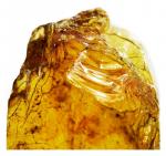 Туалетная вода Davidoff Cool Water, 200 мл - фото 6