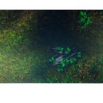 Песнь Льда и Огня - резиновый коврик для боевых игр. Inna marka - фото 6