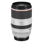 Фотоаппарат Canon EOS R6 Mark II RF 70-200mm F/2.8 USM + карта памяти 256 ГБ - фото 5