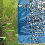 Ковер FERDOWS (20543) ручной работы, 164x230 см, шерсть - фото 6