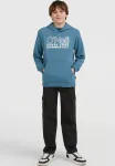 Худи essentials O'Neill, Mozart Blue - фото