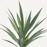 Искусственное растение Heneken El Corte Inglés, зеленый - фото 2