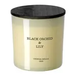 Ароматическая свеча Orchid&Lily Cereria Mollá - фото 2