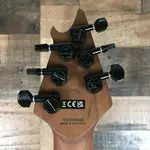 Электрогитара EVH Wolfgang Standard Absinthe Frost, 838 - фото 10