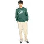 Мужская толстовка Home Team Cr Element, зеленый - фото 4