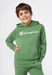 Худи Champion BASICS HOODIE UNISEX, Green - фото