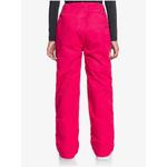 Лыжные брюки Roxy BACKYARD GIRL PT Pink - фото 2