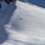 Лыжи Blizzard Zero G 96 Blizzard, Sage - фото 5