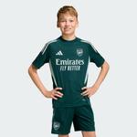 Adidas Performance Футболка для тренировок 'FC Arsenal Tiro 25' в темно-зеленом цвете - фото 3