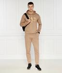 Толстовка Ea7 Regular Fit, коричневый / золотой - фото 2