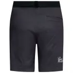 Шорты La Sportiva Roots, черный - фото 2