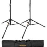Портативная PA-системы Fender Passport Venue Series 2 Portable Powered PA Kit with - фото 4