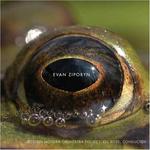 Диск CD Frog's Eye - Orchestral Works - Evan Ziporyn, Gil Rose, Boston Modern Orchestra Project - фото
