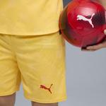 Шорты AC Milan 25/26 мужские PUMA - фото 3