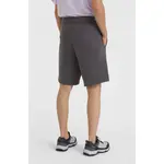 Спортивные шорты O´neill Future Surf Society, серый - фото 2