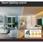 Садовый светильник LED Outdoor Plug & Shine Spot Kikolo RGBW ZigBee 1 шт. Дневной белый RGBW ZigBee Paulmann, антрацит - фото 12