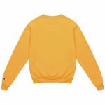 Толстовка унисекс Champion - фото