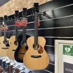 Eastman ИСТМАН E 10 M - фото 2