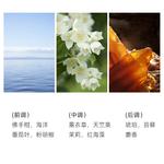 Perfumes Unisex St. Mary's - фото 4