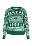 Свитер myMo X Mas, цвет Grün Weiss - фото