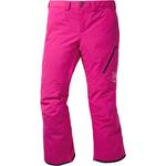Штаны Ak Cyclic Gore-Tex 2L мужские Burton, Very Berry - фото