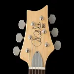 PRS SE Silver Sky (2025) - Дэнди Лайон - фото 2